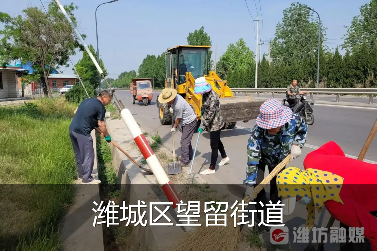 潍城区望留街道